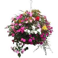 Hanging Baskets, Shape : Round for Decorative Plant Display