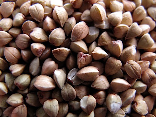 Buckwheat Kernels