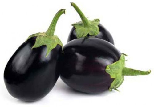 Fresh Brinjal