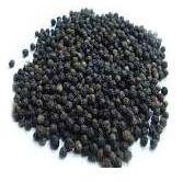 Black Pepper Seeds