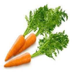 Fresh carrot, Packaging Size : 5-25kg