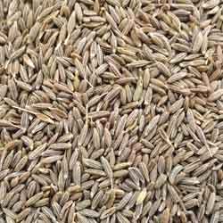 Cumin Seeds