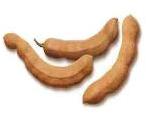 Tamarind Pods, Feature : Rich In Aroma