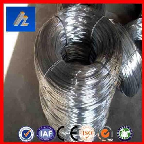Hot Dipped Galvanized Iron Wire Mesh