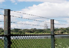 Barbed Wire, Material : SS