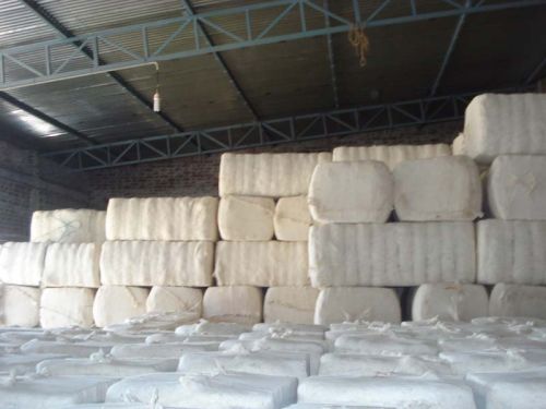 Raw Cotton Bales