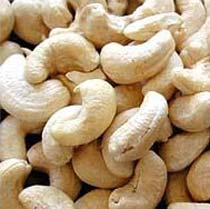 Cashew Kernels