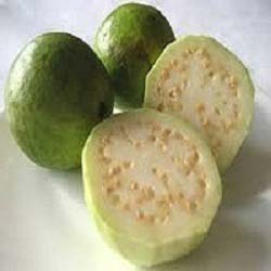 Fresh guava, Packaging Size : 25-50kg