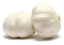 Fresh garlic, Delivery Available : Vegetable