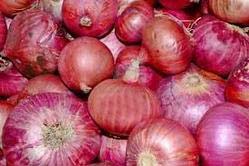 Fresh red onion For Food