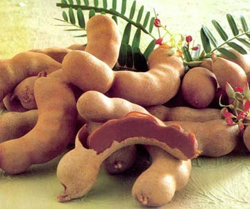 Fresh Tamarind