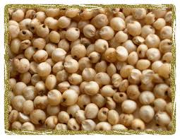 Sorghum Seeds, Admixture : 1%