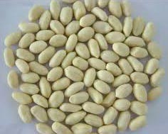 Blanched Peanut Kernels