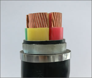 XLPE Copper Armoured Power Cable, Packaging Type : black