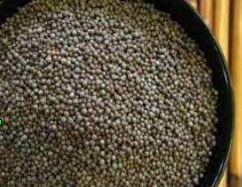 Black Mustard Seeds, Packaging Size : 20 Kg