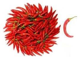 Fresh Red Chilli