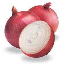 Fresh Onion