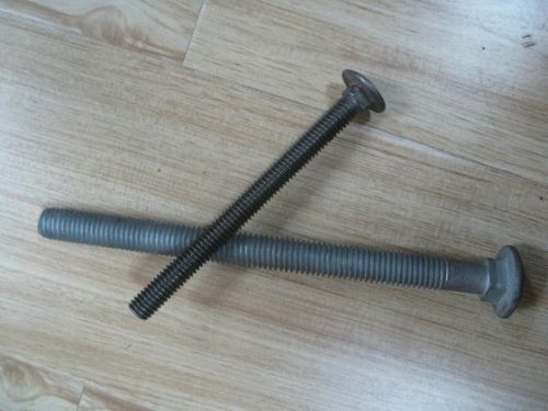 Carriage Bolts
