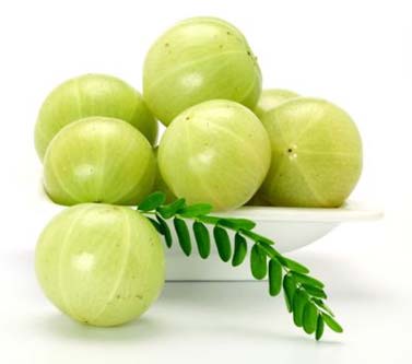 Fresh Gooseberry