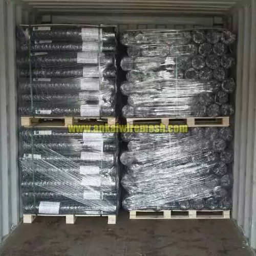 Hexagonal Fence Wire Mesh 0.9mm