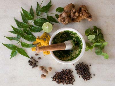 Ayurvedic Herbs