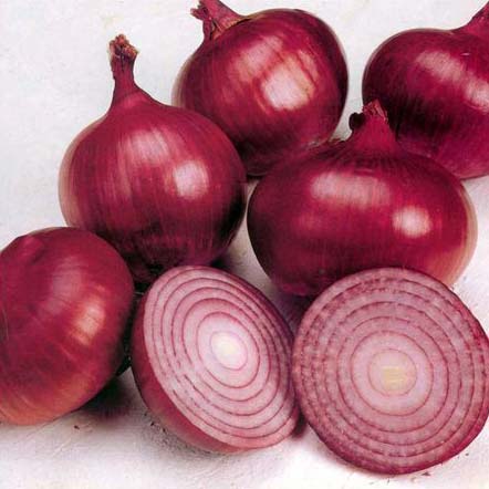 Fresh Red Onion