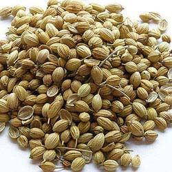 Coriander, Purity : 99%+