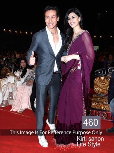 Kriti Sanon Life Style Saree