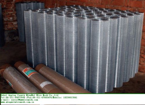 Hot Sale Galvanized Welded Wire Mesh