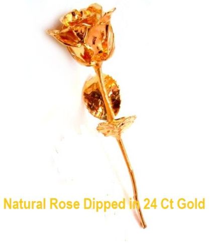 Gold Plated Rose (6