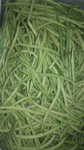 Fresh Green Beans