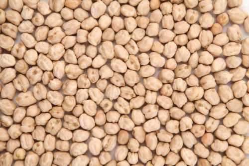 White Chickpeas