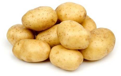 Fresh potato, Usage/Application : Cooking, Baking, Frying, Boiling
