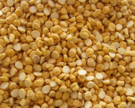Chana dal, Purity : 99.9%
