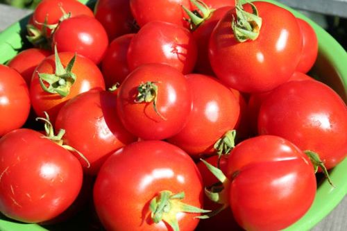 Fresh tomato, Storage : Refrigerate
