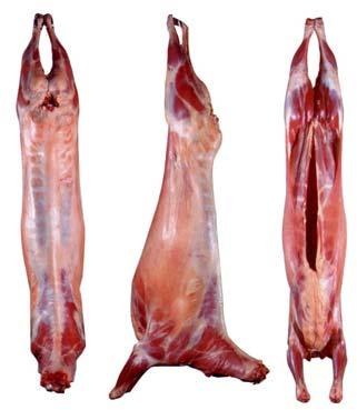 Frozen goat meat