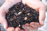 Compost Fertilizer, Color : Dark Brown To Black, Moisture : 10-20%
