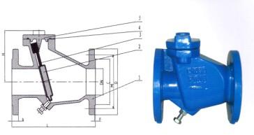 Swing Check Valve