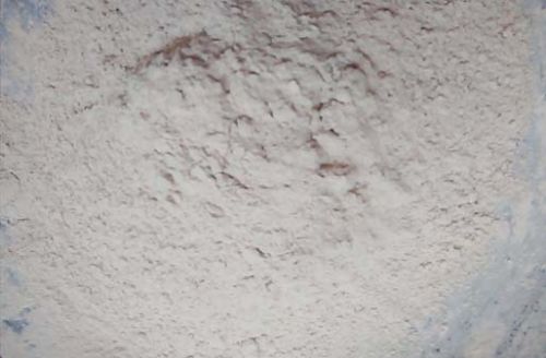 White Rice Husk Powder