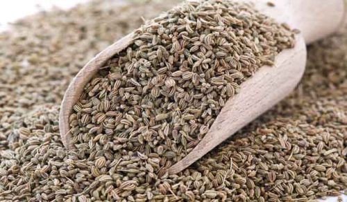 Carom Seeds, Purity : 98%