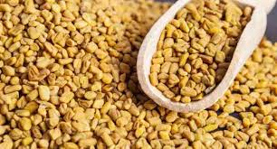 Organic Fenugreek Seeds, Packaging Type : Jute Bags, Plastic Packets