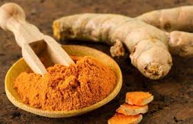 Organic Turmeric, Shelf Life : 1years