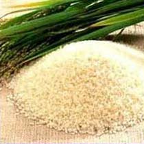 Non basmati rice, Packaging Type : Plastic Bags