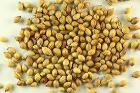 Coriander seeds, Moisture Content : 2%