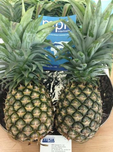 Fresh Thai Pineapple