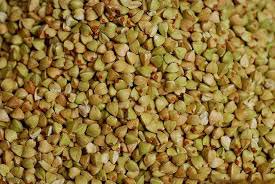 Buckwheat