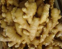 Fresh ginger, High In Gingerol