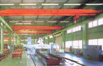 Electric Single Girder Overhead Crane for Widely