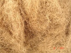 Coconut Fiber, Color : White Brown