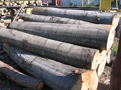 Pine Logs, Lumber